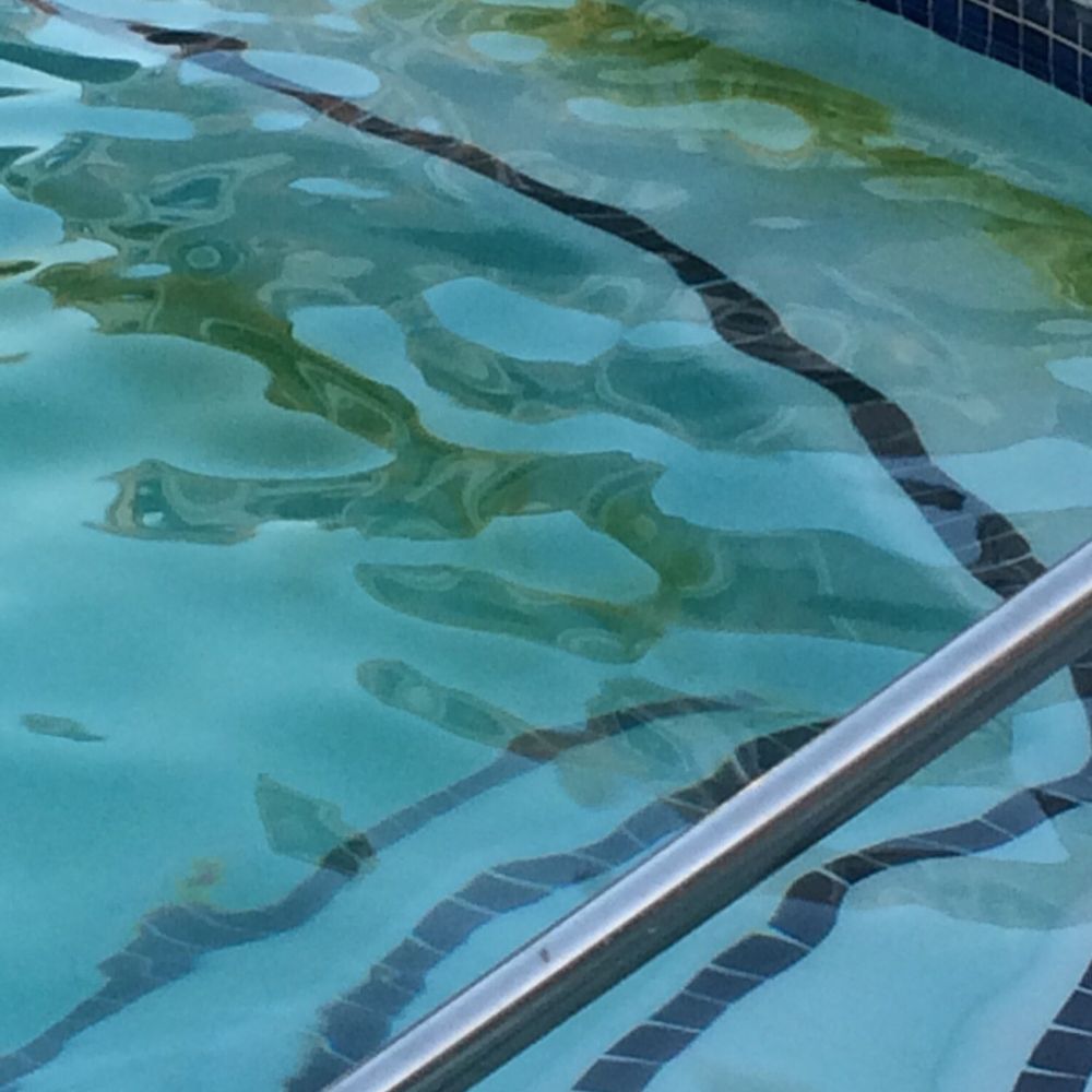 The Remington Katy - You can see the green mold building up in the pool from a lack of maintenance and chemicals. - Apartments Near Me - Katy, Texas The Remington Katy - You can see the green mold building up in the pool from a lack of maintenance and chemicals. - Apartments Near Me - Katy, Texas