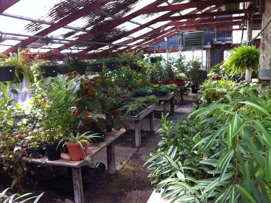 Fanick S Garden Center 132 Photos 38 Reviews Nurseries Gardening 1025 Holmgreen Rd Eastside San Antonio Tx Phone Number Yelp 1025 Holmgreen Rd