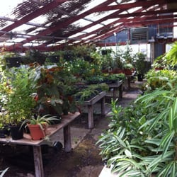 Top 10 Best Cactus Nursery In San Antonio Tx Updated Covid 19 Cactus Nursery In San Antonio Tx