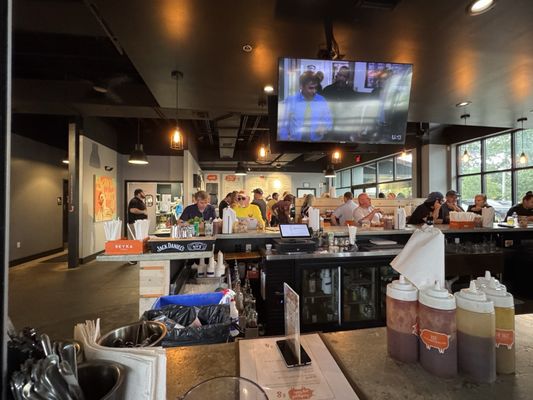 The Bearded Pig by null