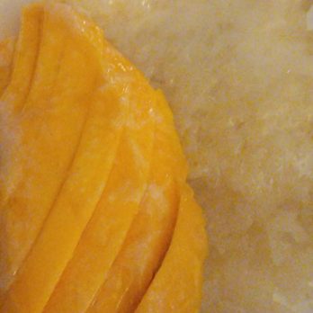 Singha Thai Cuisine - And the ever so good sticky rice with mango. - Thai Near Me - Moab, Utah