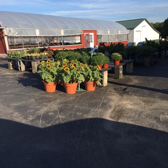 Vollmer's Farm - Outside - Farmers Market Near Me - East Syracuse, New York Vollmer's Farm - Outside - Farmers Market Near Me - East Syracuse, New York