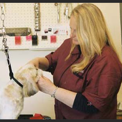 Cumberland Pet Essentials