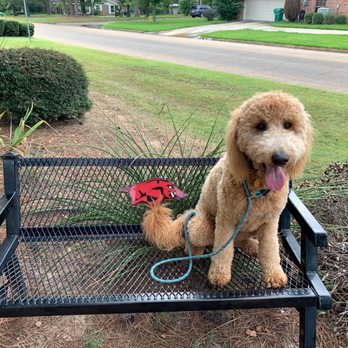 Spring Lake Park - Decisions decisions. Am I a AR Razorback or... - Parks Near Me - Texarkana, Texas