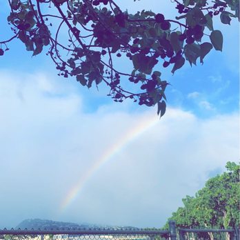 Ala Wai Dog Park - There's a rainbow that shows up almost every time I go to this park. - Dog Parks Near Me - Honolulu, Hawaii Ala Wai Dog Park - There's a rainbow that shows up almost every time I go to this park. - Dog Parks Near Me - Honolulu, Hawaii