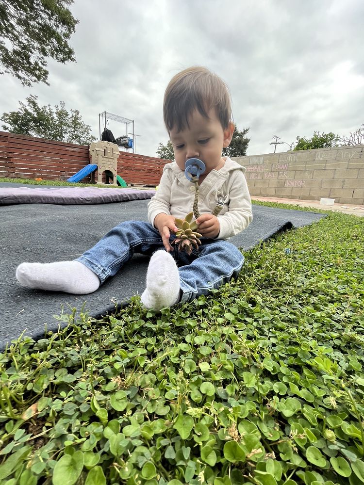 Sanchez Family Day Care - childcare center in Alhambra, CA