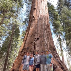 Sequoia Guides