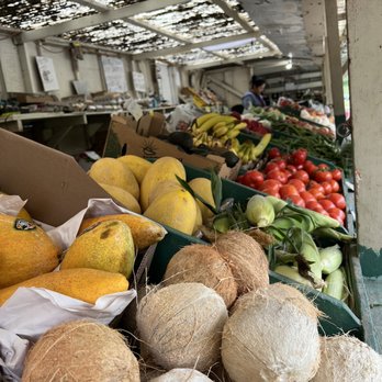 HV Produce - Produce variety - Farmers Market Near Me - Half Moon Bay, California HV Produce - Produce variety - Farmers Market Near Me - Half Moon Bay, California