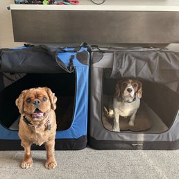 Emmett and Marty enjoyed their stay as well! Emmett and Marty enjoyed their stay as well!