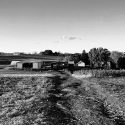 S C Burton Farms - Farm