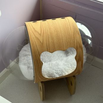 Happy Cat Hotel & Spa - Also part of the space room - Pet Boarding Near Me - Saint Louis, Missouri