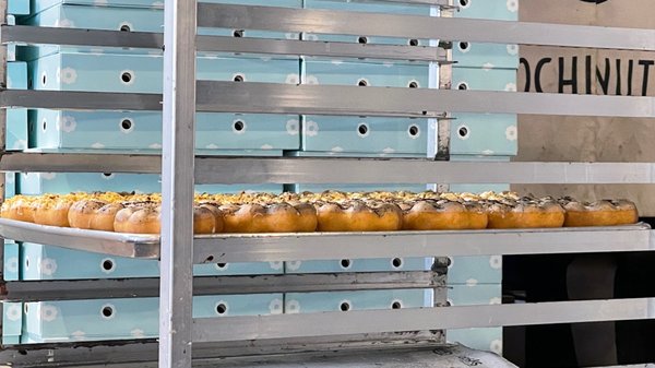 Mochinut South Lake Union by null