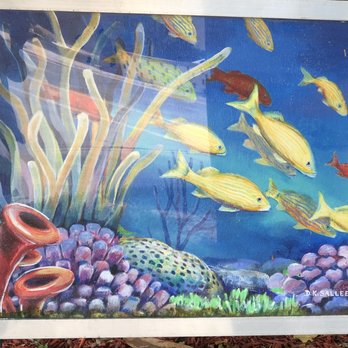 Beach Branch - Libraries Near Me - Pompano Beach, Florida Beach Branch - Libraries Near Me - Pompano Beach, Florida