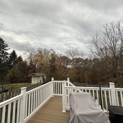 George's Tree Service