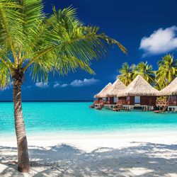 Wendy Priour - beach vacay