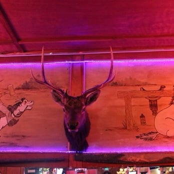 Porter's Tavern - a deer head mounted on a wall - Bars Near Me - Elma, Washington Porter's Tavern - a deer head mounted on a wall - Bars Near Me - Elma, Washington