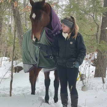 Maine Equine Sports - Horseback Riding Near Me - Gray, Maine Maine Equine Sports - Horseback Riding Near Me - Gray, Maine