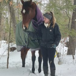 Maine Equine Sports