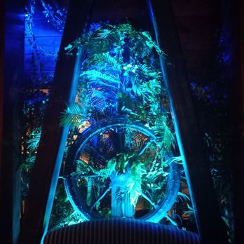 Pagan Idol - Front window, beautifully lit up. - Tiki Bars Near Me - San Francisco, California Pagan Idol - Front window, beautifully lit up. - Tiki Bars Near Me - San Francisco, California