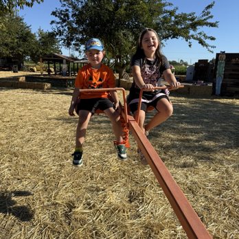 Nick and Ray’s Pumpkin Patch - Attraction Farms Near Me - Sacramento, California
