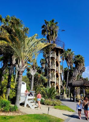 Paradise Point Resort & Spa by null