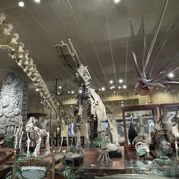 Milwaukee Public Museum - Museums Near Me - Milwaukee, Wisconsin Milwaukee Public Museum - Museums Near Me - Milwaukee, Wisconsin