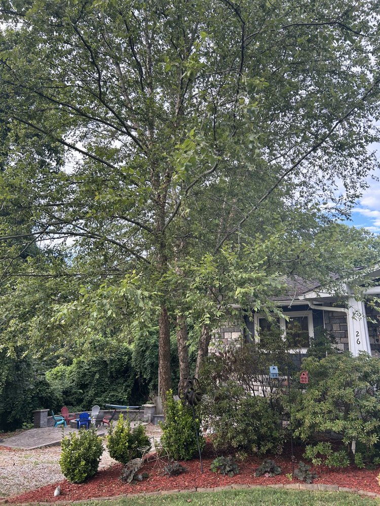 Slide of Db's Landscaping