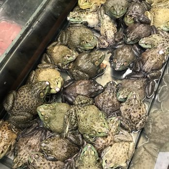 Great Wall Supermarket - some froggies - Grocery Near Me - West Covina, California Great Wall Supermarket - some froggies - Grocery Near Me - West Covina, California