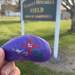 Mitchell Field