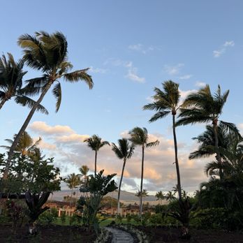 Miller & Lux - The beautiful grounds leading to the restaurant. - Seafood Near Me - Kailua-Kona, Hawaii Miller & Lux - The beautiful grounds leading to the restaurant. - Seafood Near Me - Kailua-Kona, Hawaii