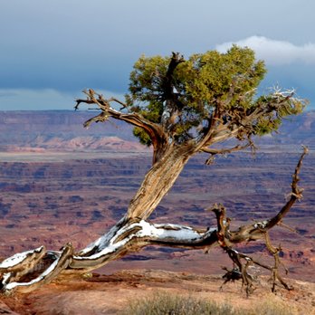 Prestige Travel - Tours Near Me - Cincinnati, Ohio Prestige Travel - Tours Near Me - Cincinnati, Ohio