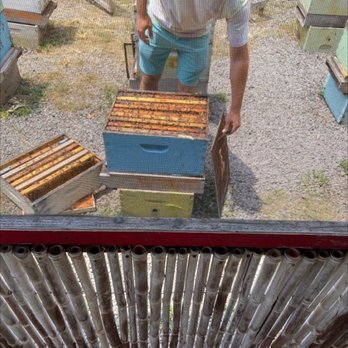 Big Island Bees - Bees - Honey Near Me - Captain Cook, Hawaii