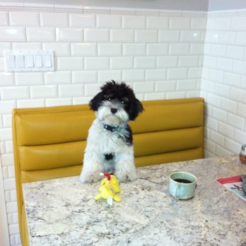 Just Food For Dogs - Pet Stores Near Me - West Hollywood, California
