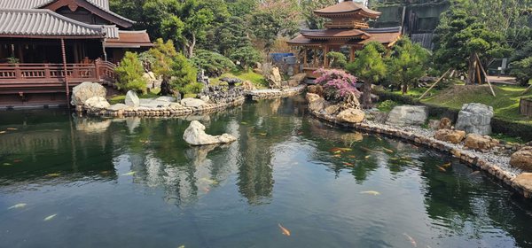 Nan Lian Garden by null