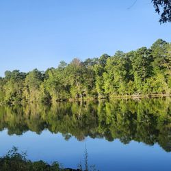 The Vista at the Lake