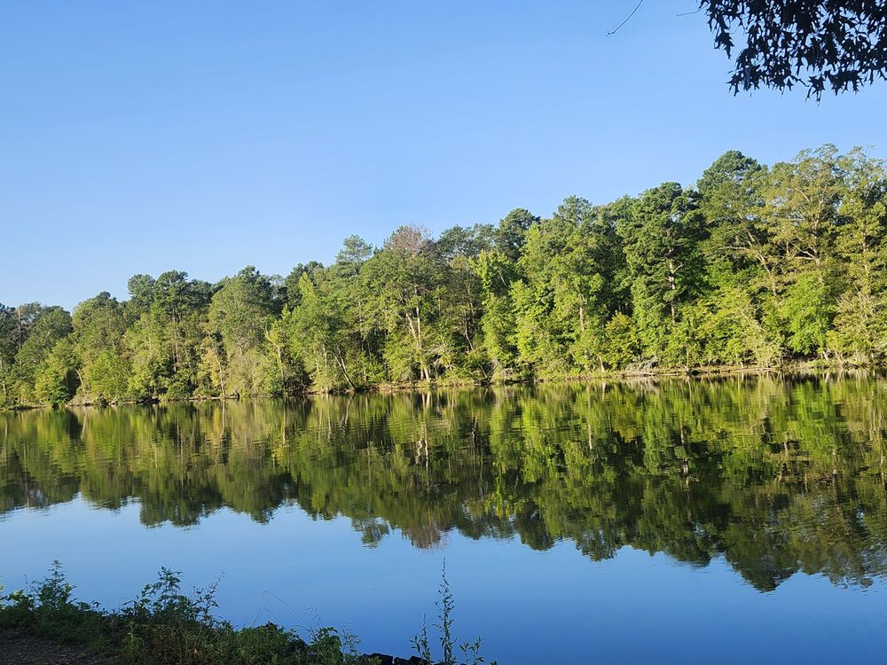 The Vista at the Lake Logo