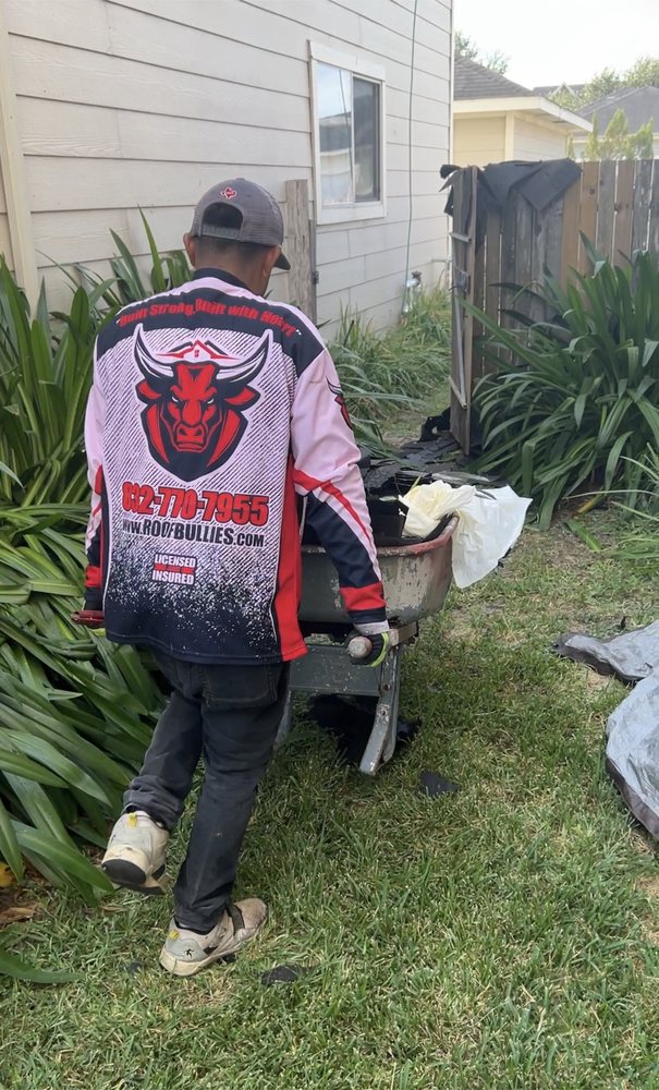 Slide of Roof Bullies