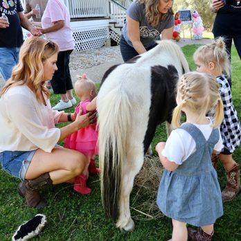 Long Valley Acres - Animals - Attraction Farms Near Me - Penn Valley, California