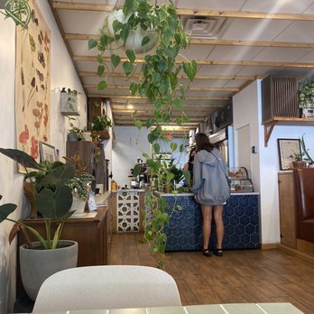 Glasser Coffee - Coffee & Tea Near Me - Brighton, Massachusetts Glasser Coffee - Coffee & Tea Near Me - Brighton, Massachusetts