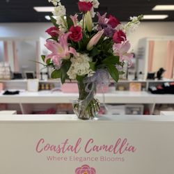 Coastal Camellia