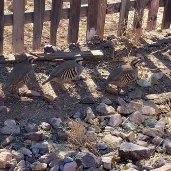 Calico Ghost Town - Parks Near Me - Yermo, California Calico Ghost Town - Parks Near Me - Yermo, California