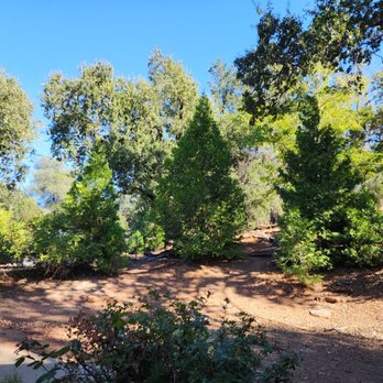 Fawndale Oaks R V Park - Parks Near Me - Redding, California
