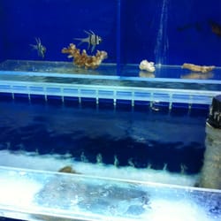 Seminole Aquarium