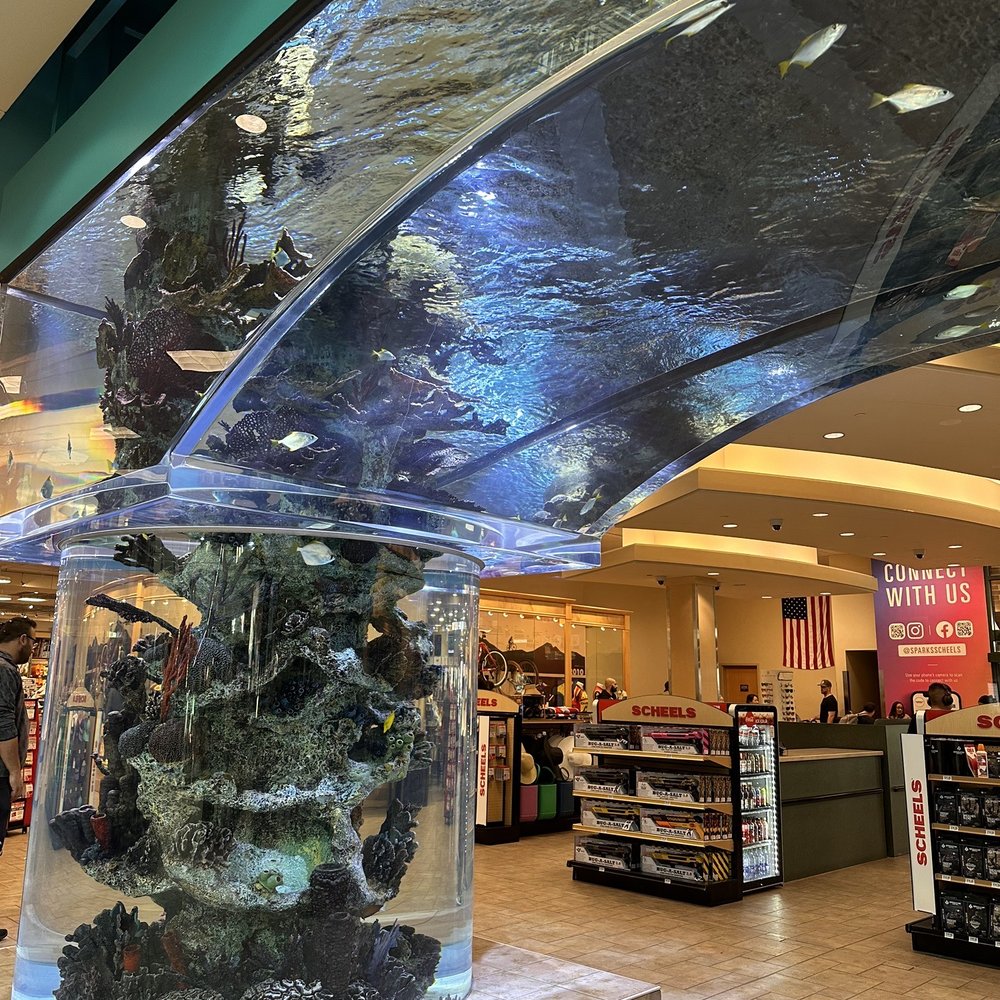 Scheels - saltwater fish tank - Sports Wear Near Me - Sparks, Nevada Scheels - saltwater fish tank - Sports Wear Near Me - Sparks, Nevada