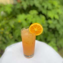 The Social - Orange Mule