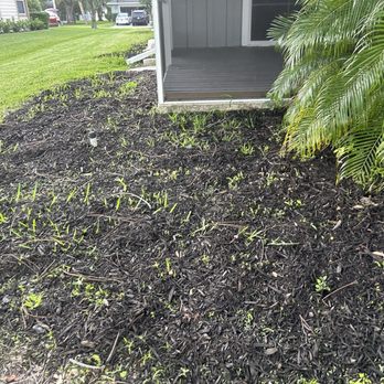 Cuts by Quist - Weed I say more? - Lawn Services Near Me Cuts by Quist - Weed I say more? - Lawn Services Near Me