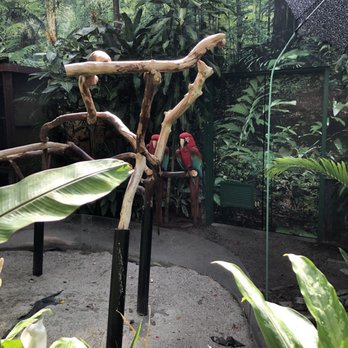 Bloedel Conservatory - Botanical Gardens Near Me - Vancouver, British Columbia