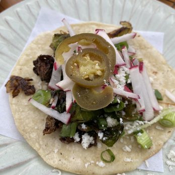 PapiChulo Tacos - Jupiter - Vegetarian Repollitos Taco - Tacos Near Me - Tequesta, Florida PapiChulo Tacos - Jupiter - Vegetarian Repollitos Taco - Tacos Near Me - Tequesta, Florida