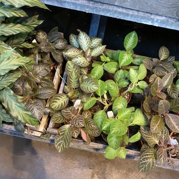 Terrain - Nurseries & Gardening Near Me - Westport, Connecticut