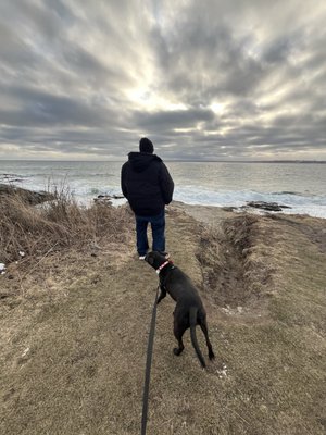 Beavertail State Park by null